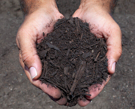 1/2 inch landscaper's compost in hands close up