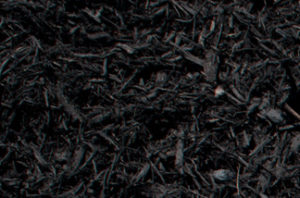 close up of black dyed mulch