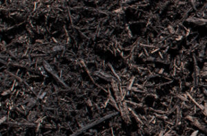 close up of dark composted mulch