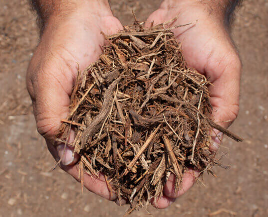 double shredded native mulch in hands close up