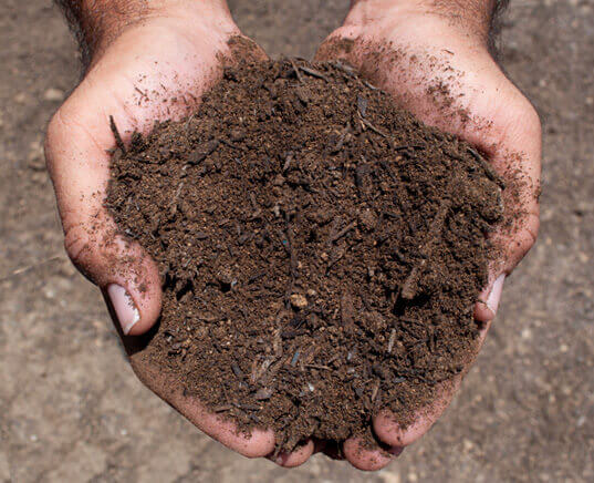 enriched topsoil in hands close up