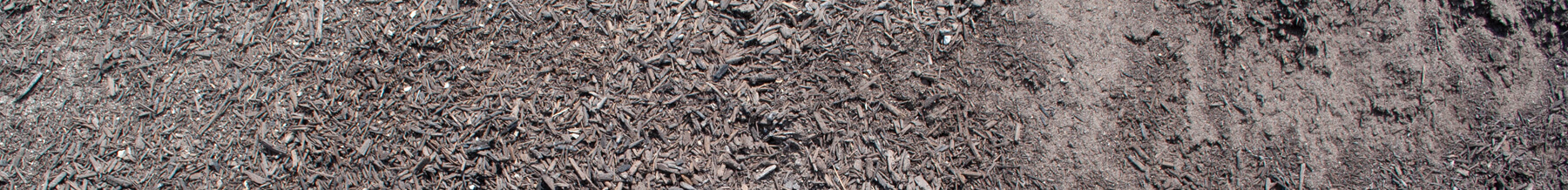 close up wide shot of potting soil