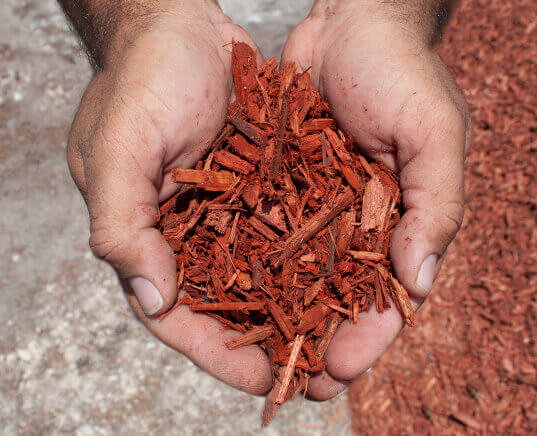 red dyed mulch in hands close up