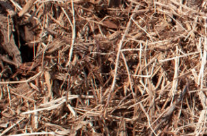 close up of single grind cedar mulch