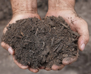 new-earth-topsoil-hand